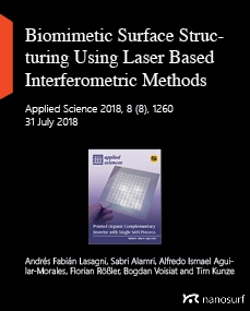  Biomimetic Surface Structuring Using Laser Based Interferometric Methods